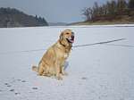 d8_annie_260211.JPG