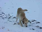 balf19_0107.jpg