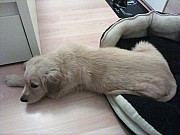 a12_hakim_211121.jpg
