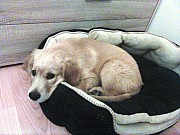 a13_hakim_211121.jpg