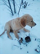 a16_hakim_041221.jpg