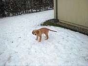 a18_hakim_041221.jpg