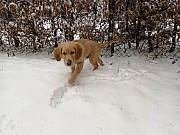 a19_hakim_041221.jpg