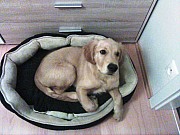 a22_hakim_221221.jpg