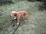 a23_hakim020122.jpg