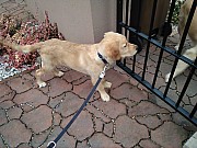 a26_hakim020122.jpg