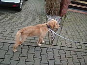 a29_hakim020122.jpg