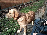 a37_hakim200222.jpg