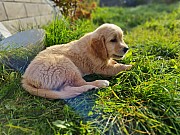 a07_121021.jpg