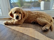 a11_121021.jpg