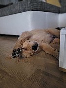 a12_121021.jpg
