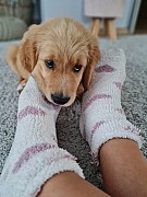 a14_161021.jpg