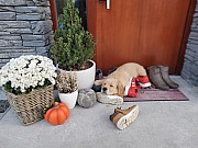 a16_021121.jpg