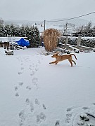 a30_251221.jpg