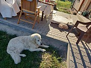 a01_101021.jpg