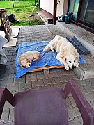a05_151021.jpg