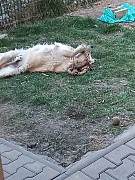 a09_280322.jpg