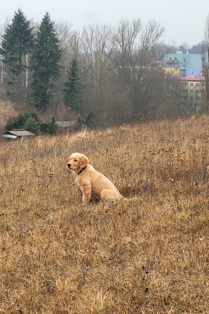 a10_261121.jpg