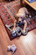 a08_241121.jpg