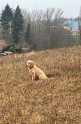a10_261121.jpg