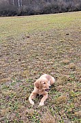a13_181221.jpg