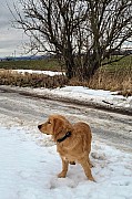a19_080222.jpg