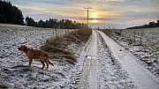a13_080222.jpg