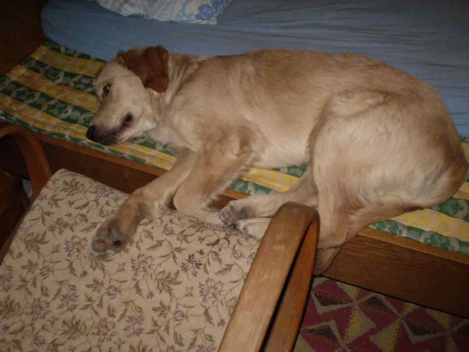 jack10_0107.jpg