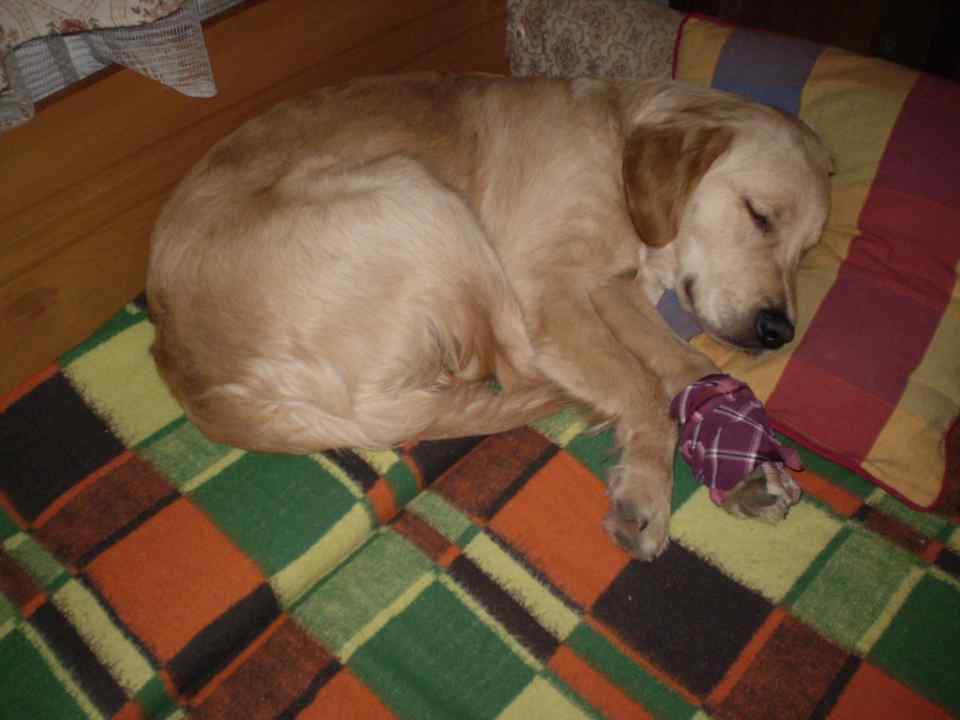 jack11_0107.jpg