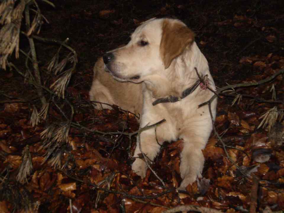 jack12_0107.jpg