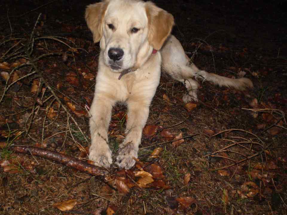jack13_0107.jpg