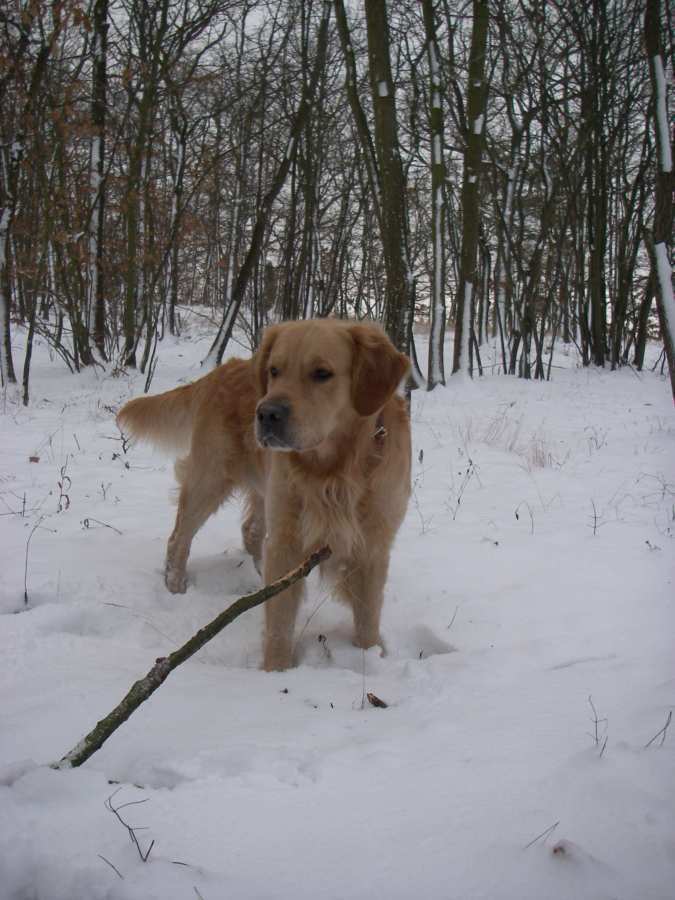 jack25_1108.JPG