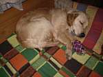 jack11_0107.jpg