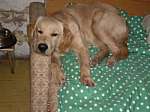 jack14_0107.jpg