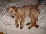 jack16_0107.jpg