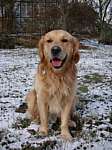 jack23_1108.JPG