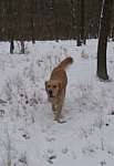 jack24_1108.JPG