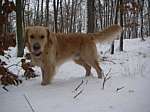 jack28_1108.JPG