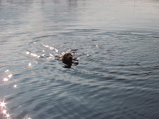 b_leo07.jpg