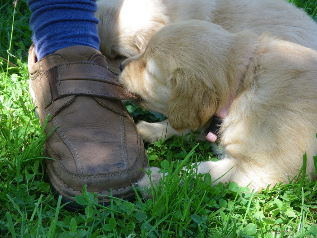 a0105c_bota.JPG