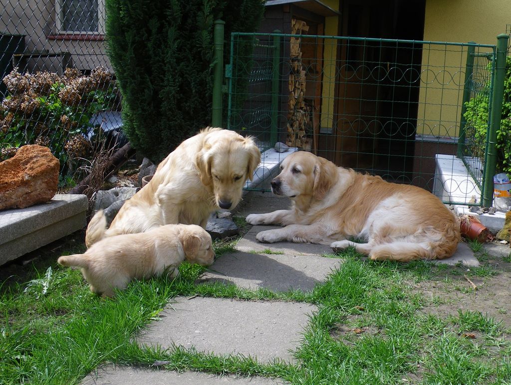 a0605d_even3.JPG