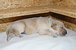 b_010513_2.JPG