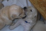 b_080513_1.JPG