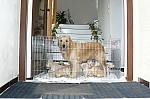 b_160513_3.JPG