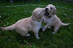 b_200513_2.JPG