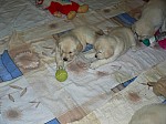 b_310513_2.JPG