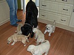 c_010613_1.JPG
