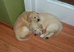 c_010613_4.JPG