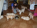 c_010613_5.JPG