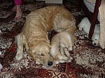 c_010613_8.JPG